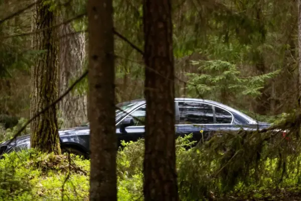An "Audi" stolen in Vilnius district was later found in the forest without license plates