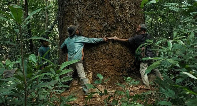 Frame from the film/Frame from the film “We Are the Forest's Fruits”