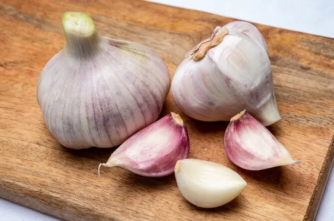 Shutterstock nuotr./Česnakai