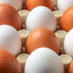 Which chicken eggs are healthier – brown or white? Answered a frequently asked question