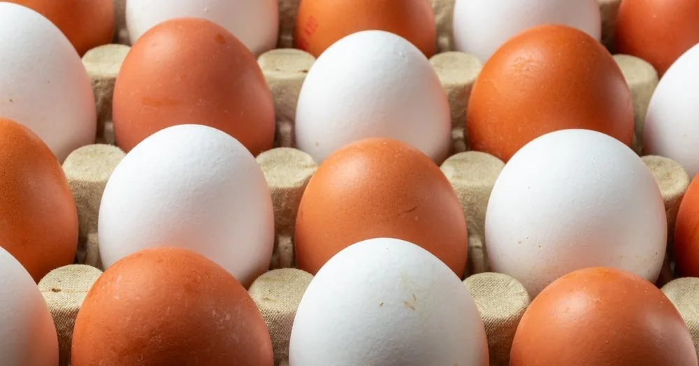 Which chicken eggs are healthier – brown or white? Answered a frequently asked question