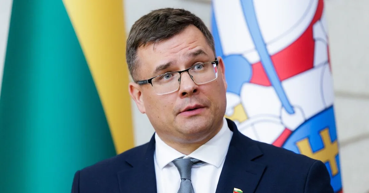 Laurynas Kasčiūnas: the drone shootdown was successful, but Lithuania is not prepared for a larger number of them