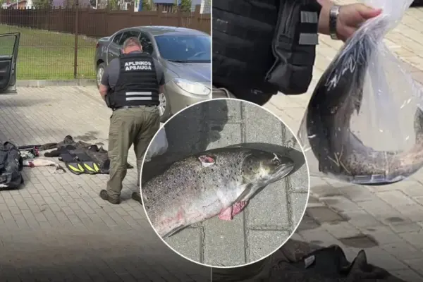 Poachers caught at the scene with a shot fish: what fine is threatened for this