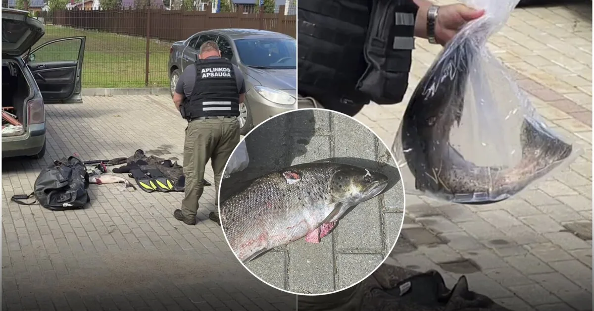 Poachers caught at the scene with a shot fish: what fine is threatened for this