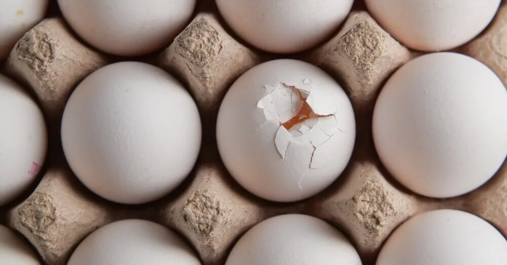 Cracked egg: when to throw it away and when it is still safe to eat?