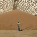 VMVT took two more samples of grain shipments of unclear purpose from Russia