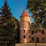 Raudondvaris Manor is looking for a new director