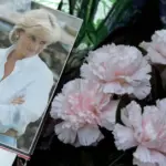 After Princess Diana's brother's memoirs – a strict statement from Buckingham Palace