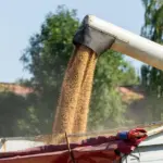Transit of agricultural cargo from Russia and Belarus through the Port of Riga decreased by 8%.