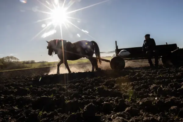 Who will work the land of Lithuania in a decade? Europe is looking for ways to attract young farmers