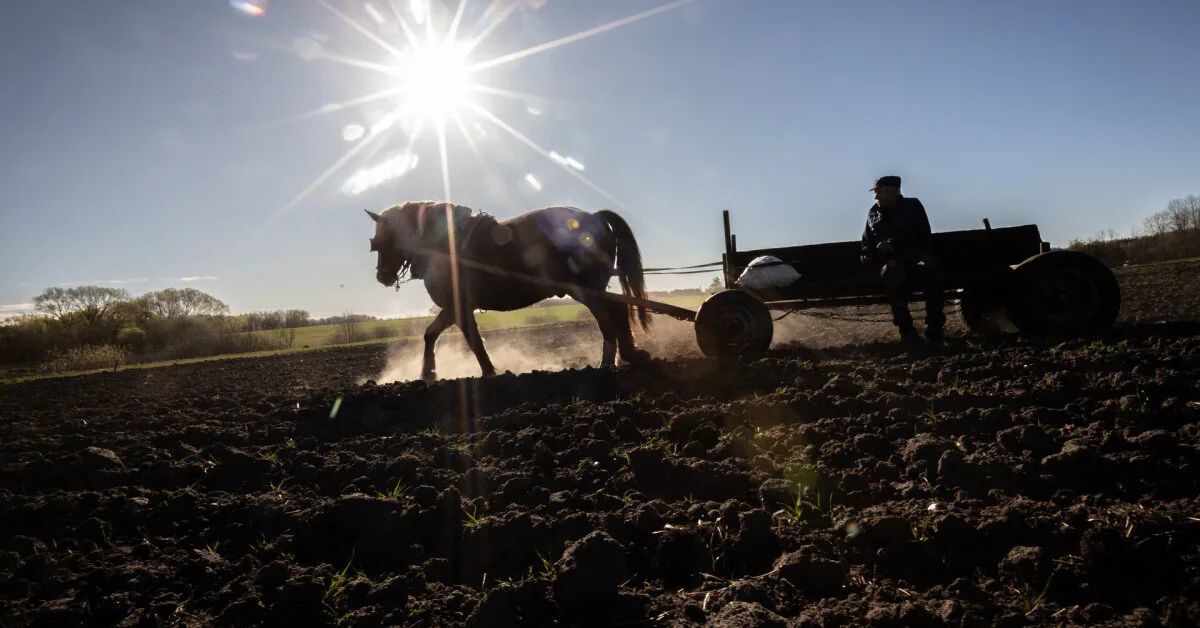 Who will work the land of Lithuania in a decade? Europe is looking for ways to attract young farmers