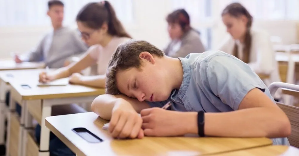 What questions are better not to ask a child upon seeing a bad grade in the diary?
