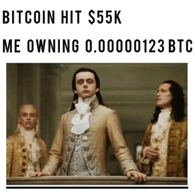 Kaip tu žiūti į kitus, kai turi Bitcoiną, o jo kaina kyla memas