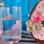 Chronic kidney disease: warning signs that are easy to confuse with other ailments