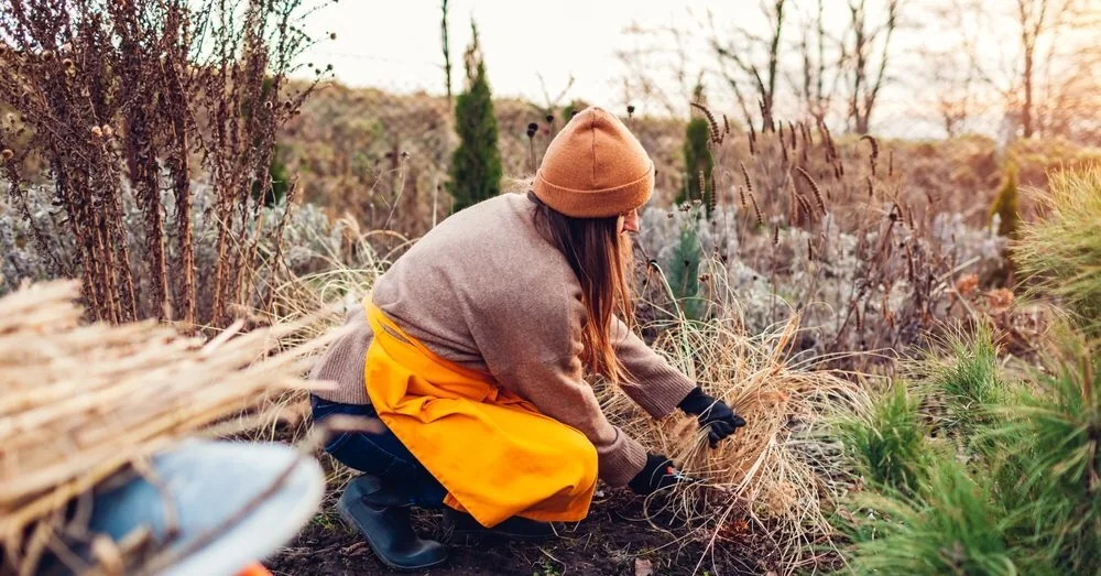 Autumn work in the garden: NVSC warns about a deadly but forgotten danger