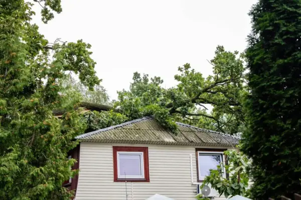The government will decide on Wednesday about the cancellation of the emergency situation