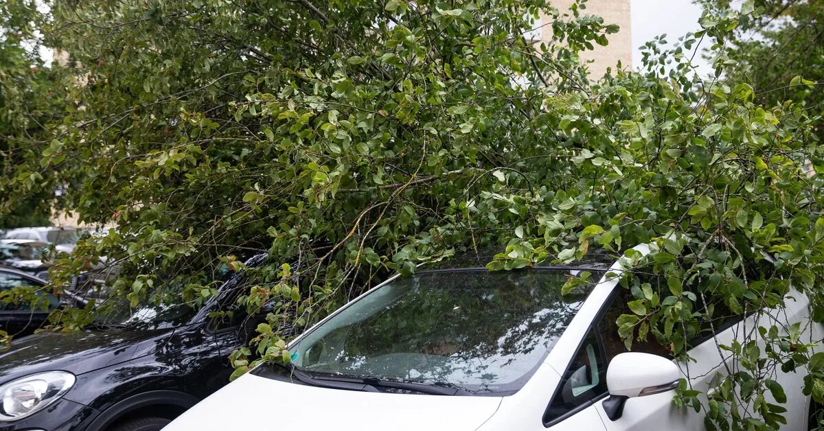 After the storm, the car became worthless: what to do with it?