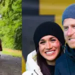After returning to the United Kingdom – Meghan Markle released the first video: fans discuss 1 detail