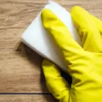 The study revealed an unexpected danger in the kitchen: why these sponges can harm your health?