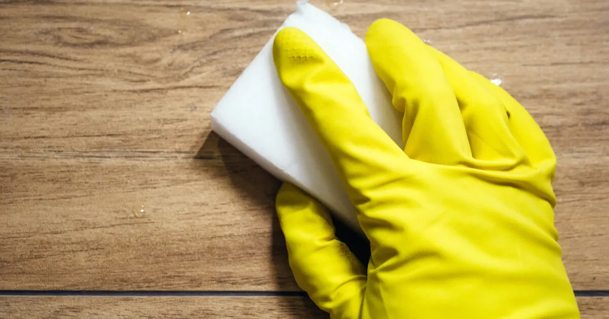 The study revealed an unexpected danger in the kitchen: why these sponges can harm your health?
