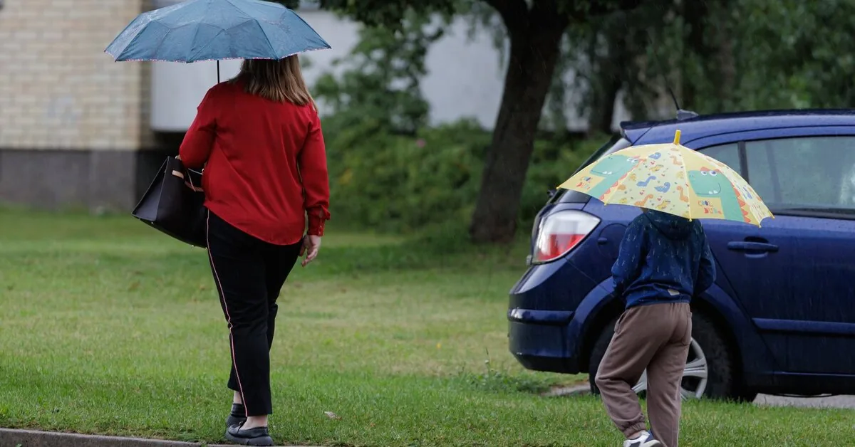 Weather changes are already here: Lithuania will be flooded with rain, thunder will roar, and the wind will strengthen
