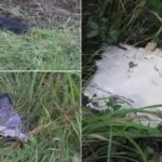 Was the drone that really flew into Lithuania and was shot down part of a military exercise?