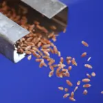 Latvian Veterinary Service will be able to inspect grain cargoes transported in transit at the country's ports