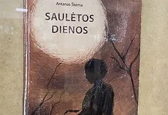 Andželikos Kuliničiūtės kūryba