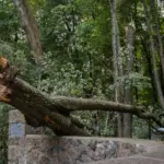 Minister of Energy: "We will be ready for the next storm"