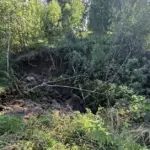 A large sinkhole has opened in the Pasvalys district