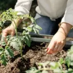 Do you think it's already too late to plant in September? Here's what you can still grow this year if you plant now