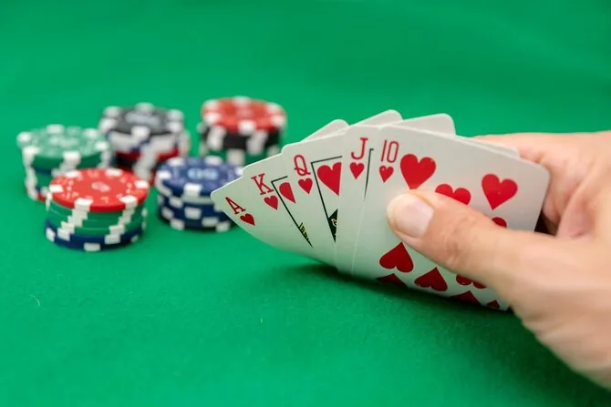 Shutterstock nuotr./Pokeris