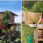 Lina tries to renovate the house herself: "I'd rather do a poor job than waste thousands on strangers"