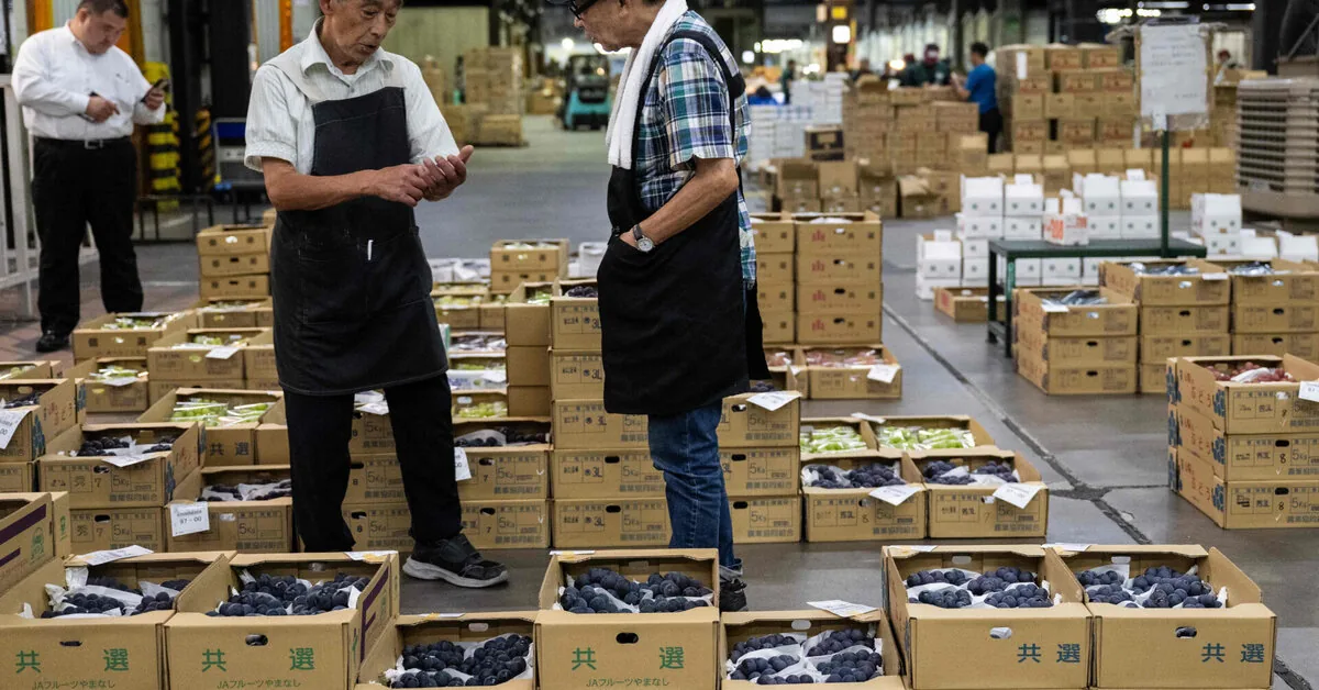 Japan's economy grew faster than forecasted