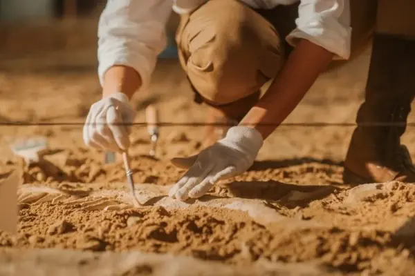 Archaeologists do not hide their amazement: while excavating cemeteries in neighboring Poland, they discovered something unique
