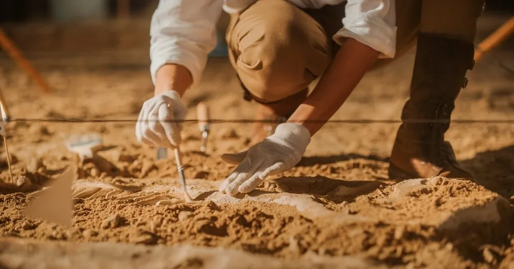 Archaeologists do not hide their amazement: while excavating cemeteries in neighboring Poland, they discovered something unique
