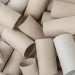Gardeners don't throw them away: here's how toilet paper rolls come in handy in the garden