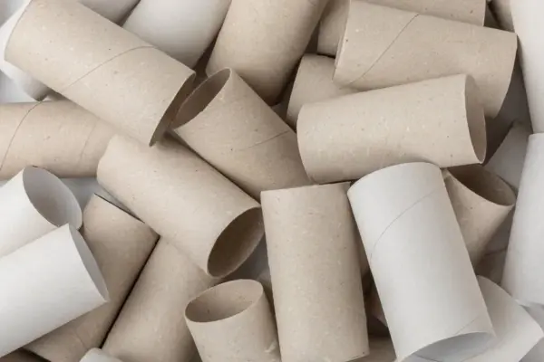 Gardeners don't throw them away: here's how toilet paper rolls come in handy in the garden