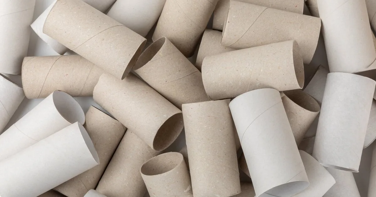 Gardeners don't throw them away: here's how toilet paper rolls come in handy in the garden