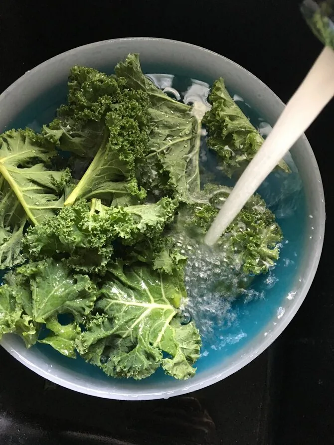 Vida Press nuotr./Plaunami lapiniai kopūstai (kale)