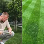 You need to do these tasks in September if you want the lawn to be beautiful next year