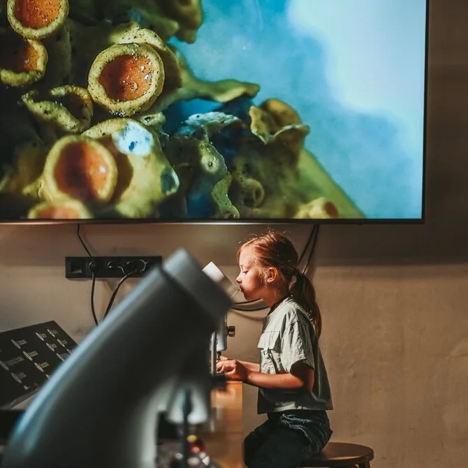 „Ogmios miesto“ nuotr./„Zoopark“