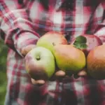 Apple or pear: what to choose to avoid a sudden sugar spike