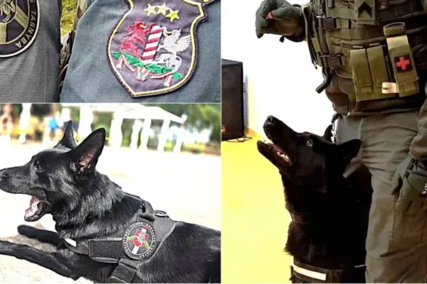 Lithuanian officer in Latvia caught 5 intruders with Aja's help