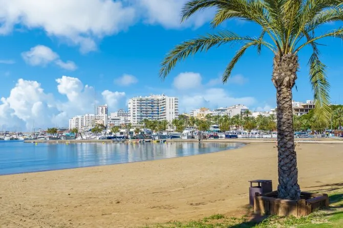 Shutterstock nuotr. / San Antonijus, Ibisa