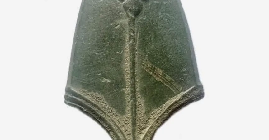 A rare find on the edge of Lithuania: beneath a thin layer of soil lies 1000 years of history