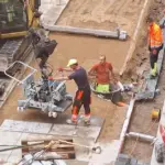 The newly convened Seimas is still in the midst of renovations: the chancellor explained why