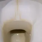 3 tablespoons at night – and in the morning the toilet will shine: old lime deposits will disappear by themselves