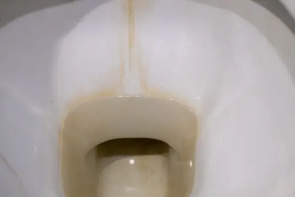 3 tablespoons at night – and in the morning the toilet will shine: old lime deposits will disappear by themselves