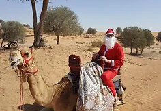 Guide's Christmas